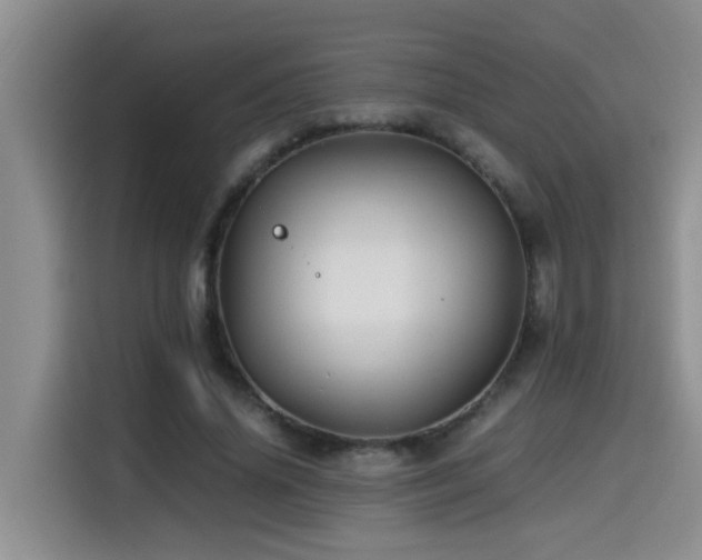 X0000114560636200910191432