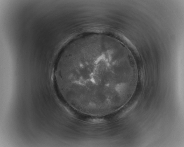 X0000114560637200910191432