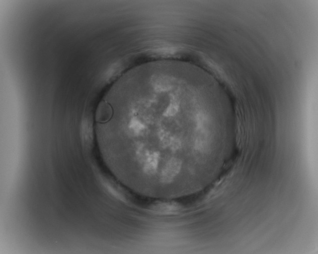 X0000114560642200910191432