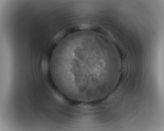 X0000114560648200910191432