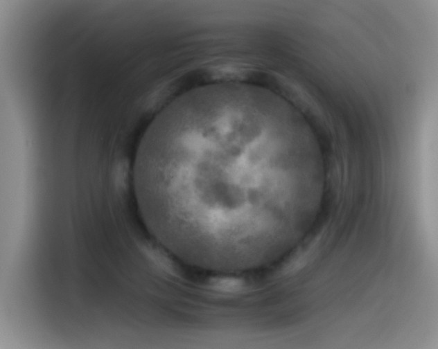 X0000114560649200910191432