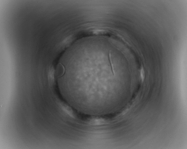 X0000114560650200910191432