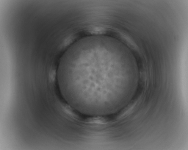 X0000114560652200910191432