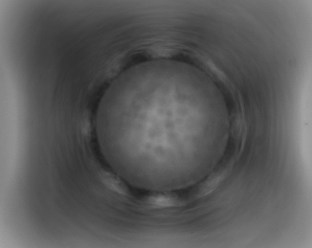 X0000114560655200910191432