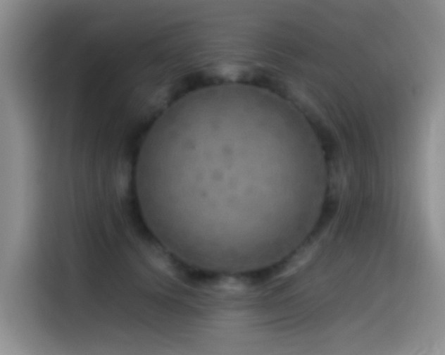 X0000114560656200910191432