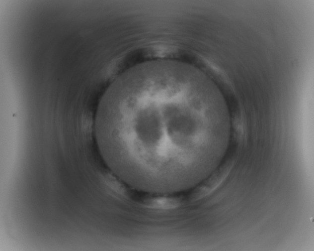 X0000114560657200910191432