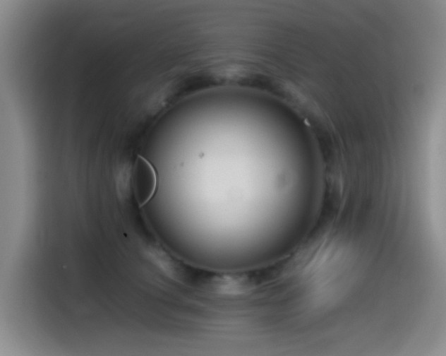X0000114560660200910191432