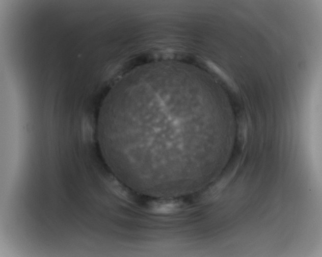 X0000114560661200910191432