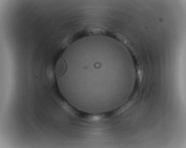 X0000114560662200910191432