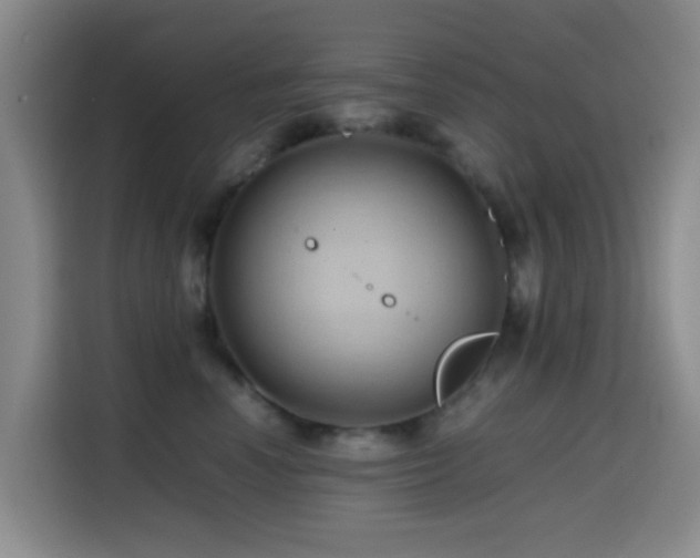 X0000114560666200910191432