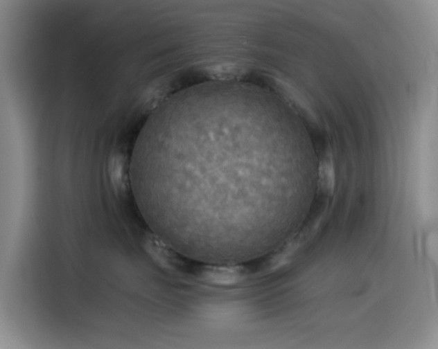 X0000114560671200910191432