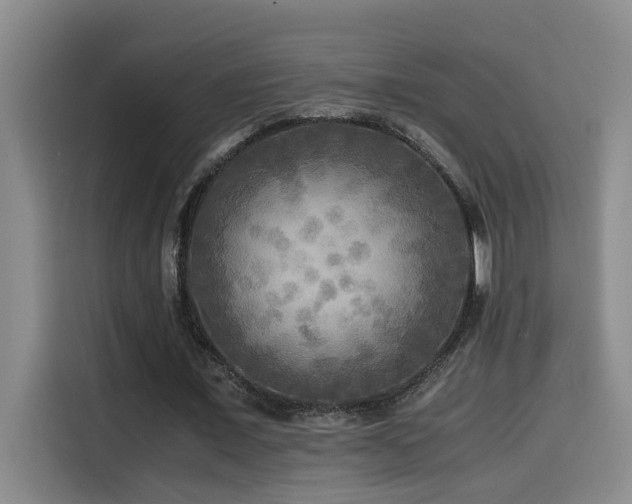 X0000114560675200910191432