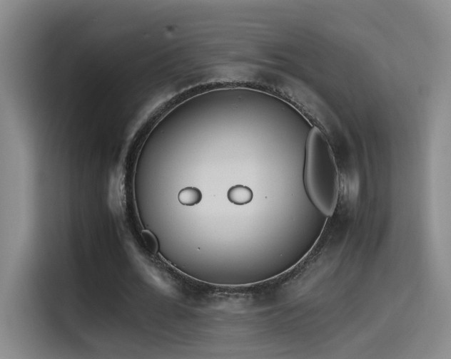 X0000114560676200910191432