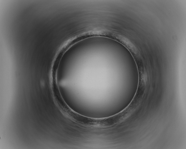 X0000114560678200910191432