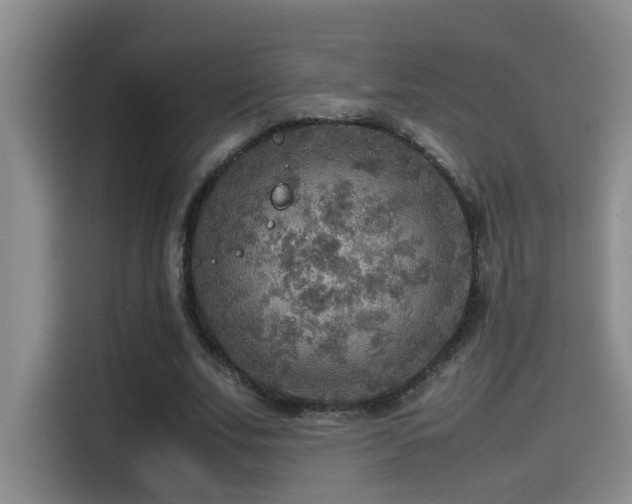 X0000114560679200910191432