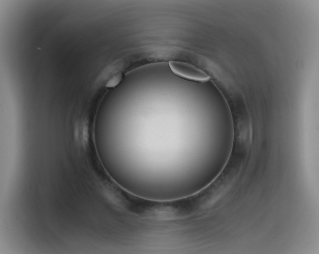 X0000114560685200910191432