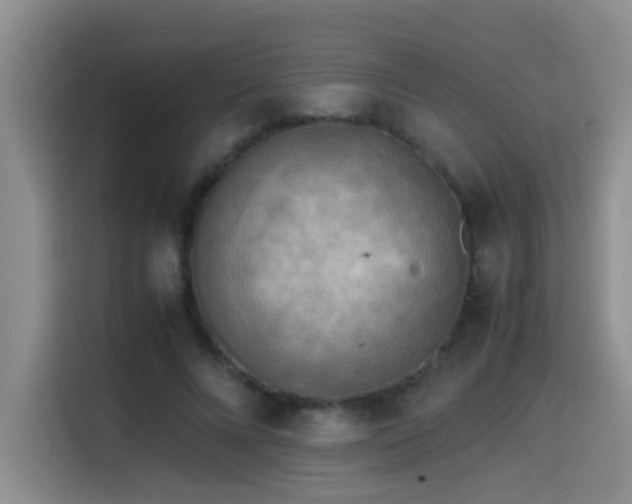 X0000114560688200910191432