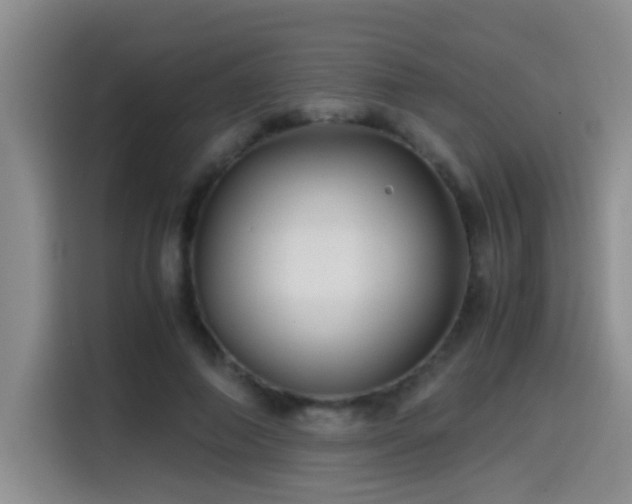 X0000114560690200910191432