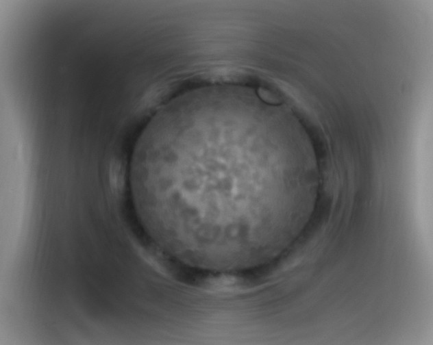 X0000114560695200910191432