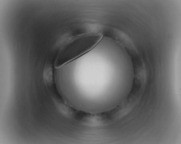 X0000114560696200910191432