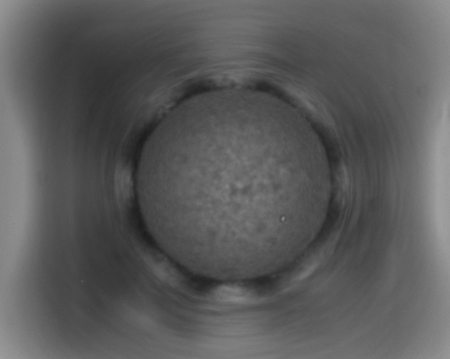 X0000114560699200910191432