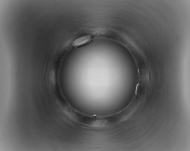 X0000114560700200910191432
