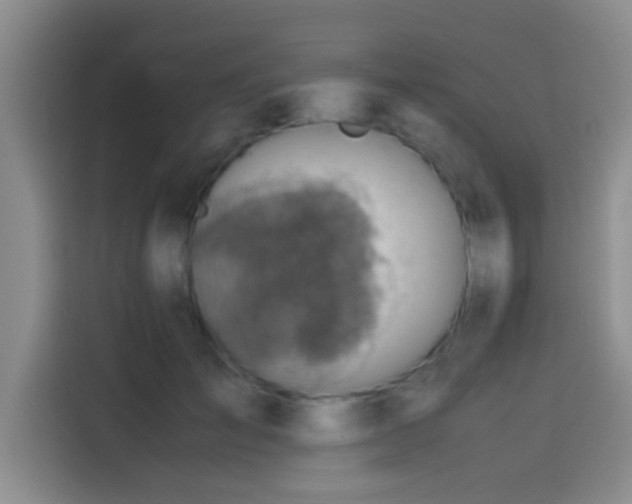 X0000114560701200910191431
