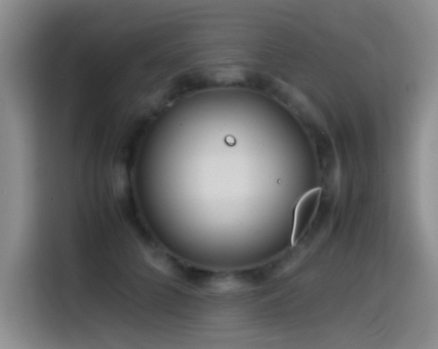X0000114560704200910191431