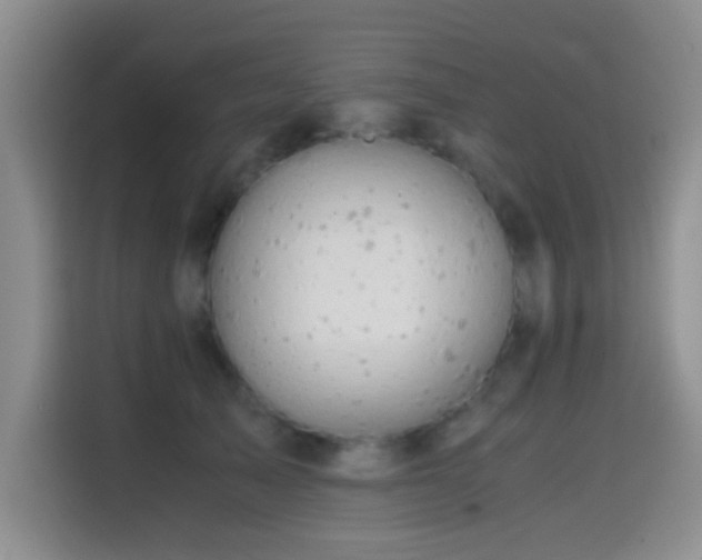 X0000114560705200910191431