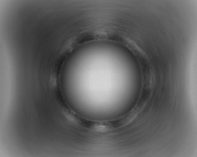 X0000114560706200910191431