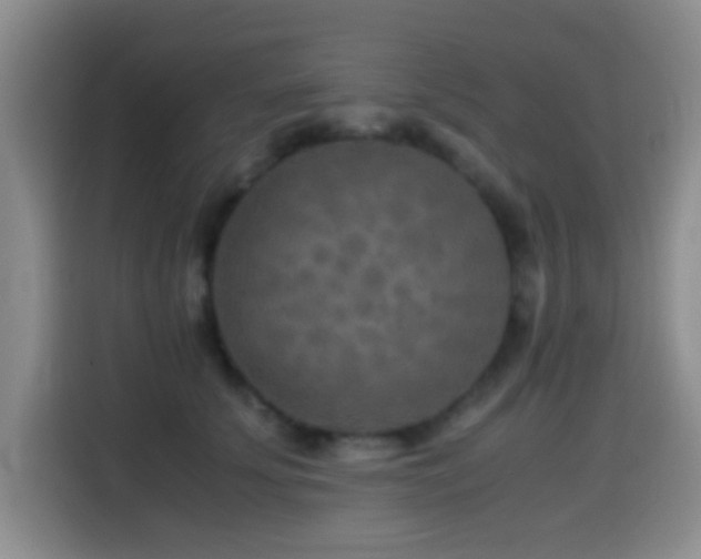 X0000114560707200910191431