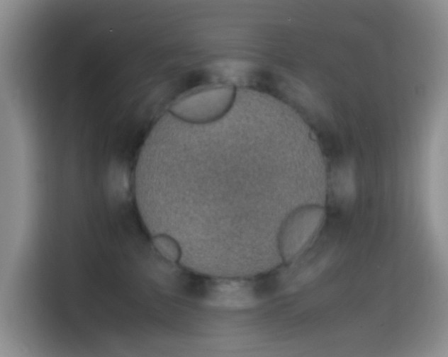 X0000114560709200910191431