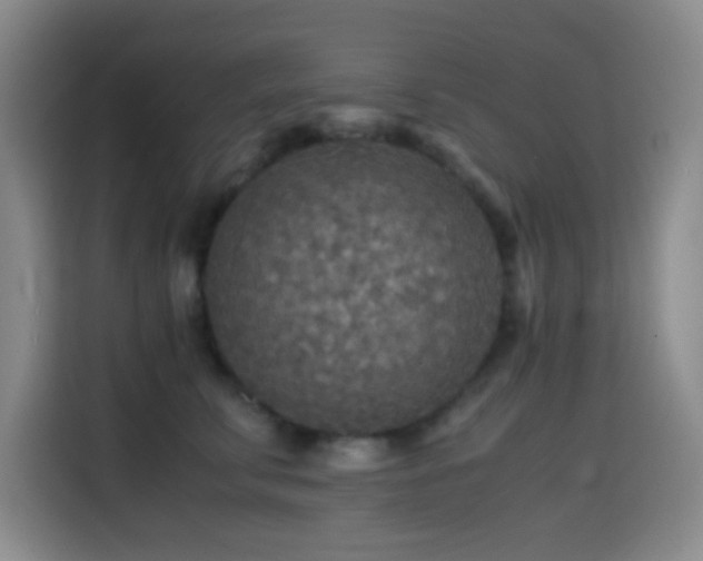 X0000114560711200910191431