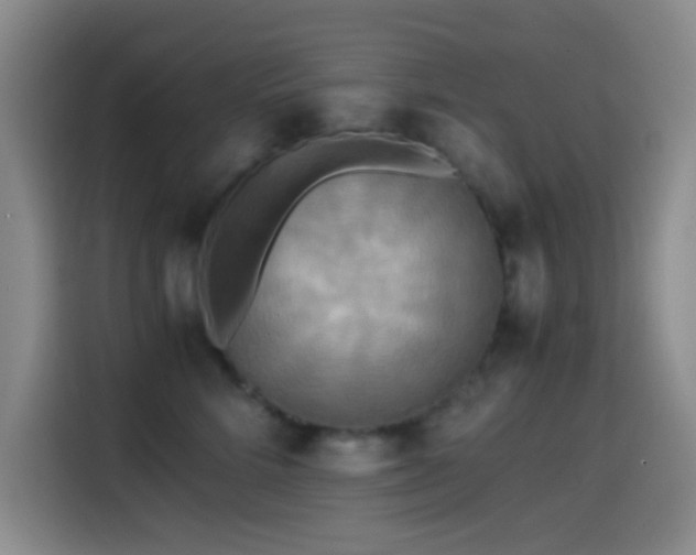X0000114560712200910191431