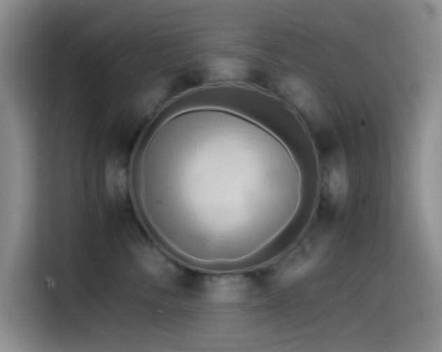 X0000114560716200910191431