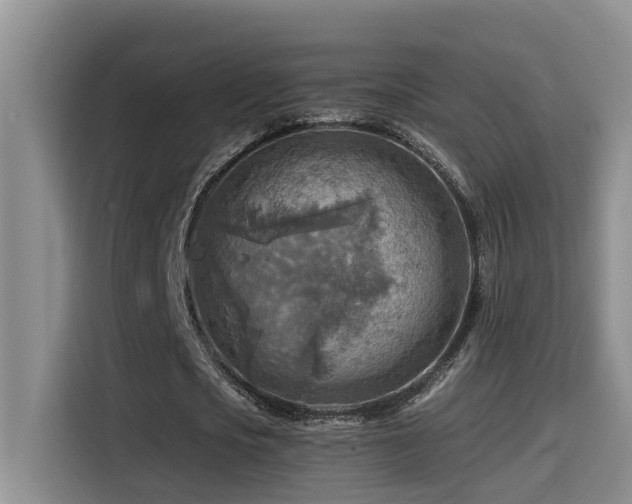 X0000114560721200910191431