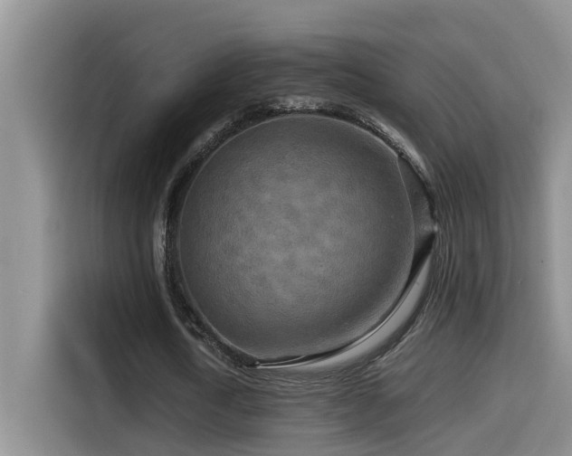 X0000114560722200910191431
