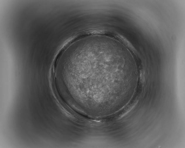X0000114560725200910191431