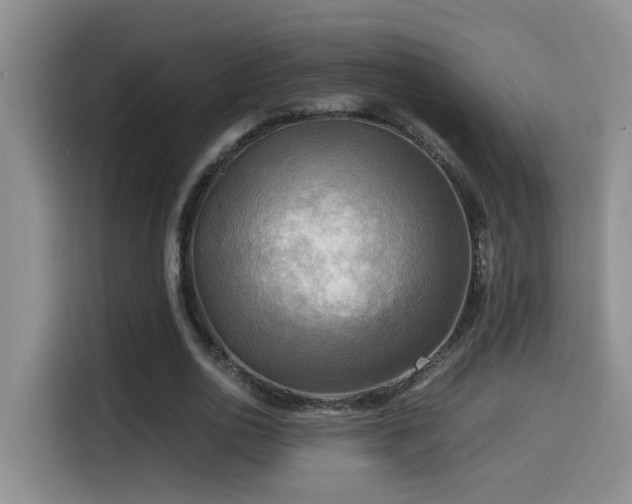 X0000114560726200910191431