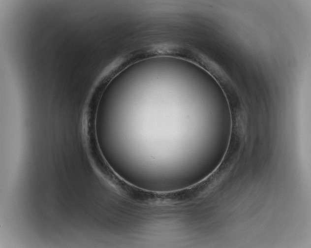 X0000114560730200910191431