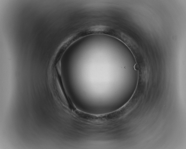 X0000114560731200910191431