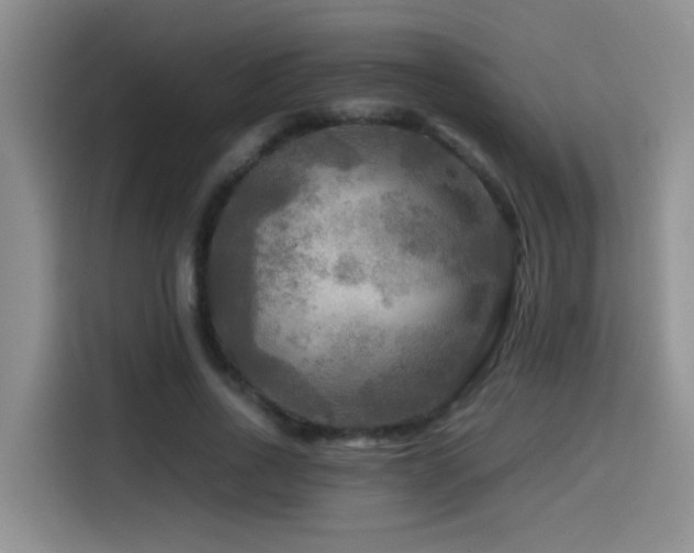 X0000114560734200910191431