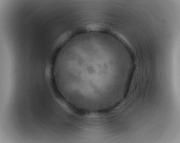 X0000114560738200910191431