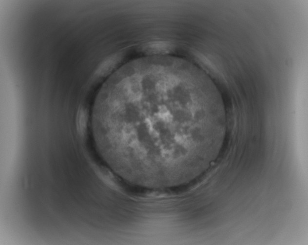X0000114560742200910191431