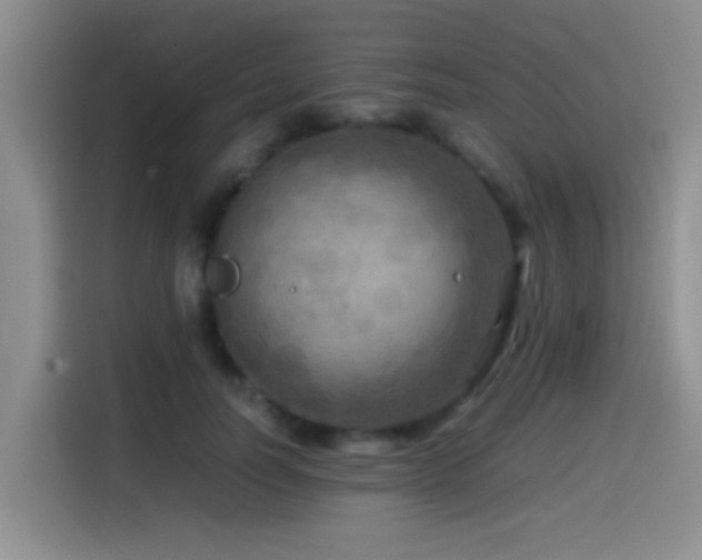 X0000114560746200910191431