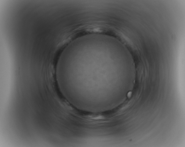 X0000114560747200910191431