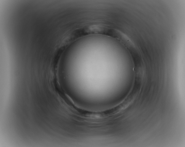 X0000114560751200910191431