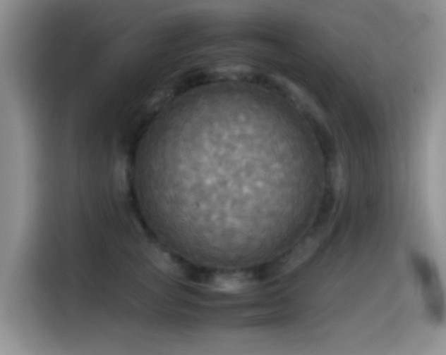 X0000114560757200910191431