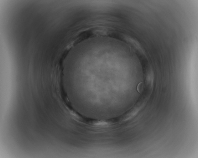 X0000114560759200910191431