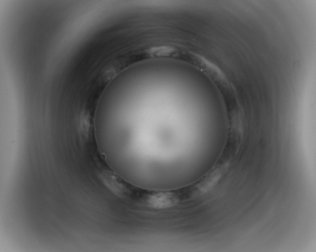 X0000114560761200910191431